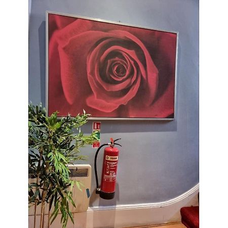 F301-Awesome 3Rd Flr Studio Fits 1 Near Hyde Park London Luaran gambar